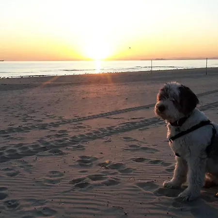 Familie Kowollik شقة