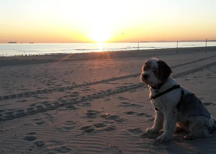 Familie Kowollik דירה